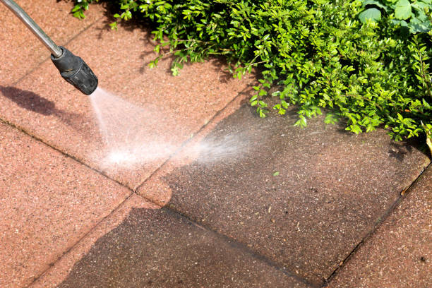 Best Exterior Home Cleaning  in Deridder, LA